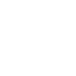 Perri Lee